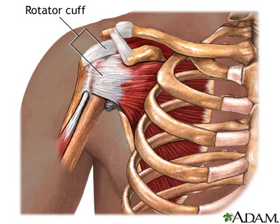 Rotator Cuff Injury and Regenerative Therapy